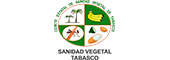 Comité Estatal de Sanidad Vegetal de Tabasco